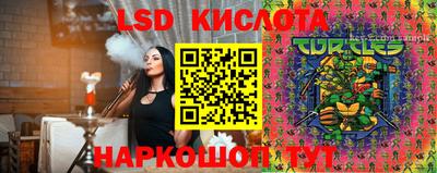 крисы Свободный