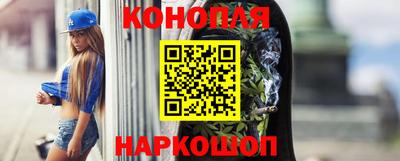 крисы Свободный